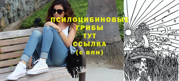 шишки Киреевск