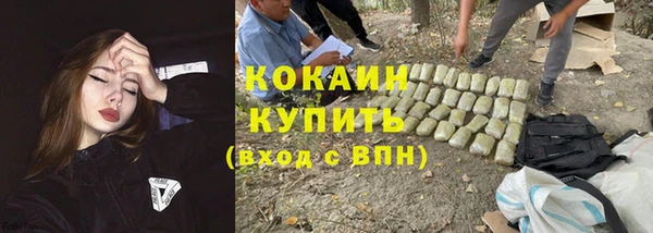 apvp Козельск