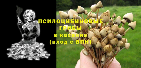 шишки Киреевск