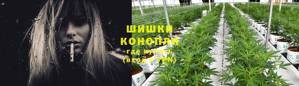 шишки Киреевск