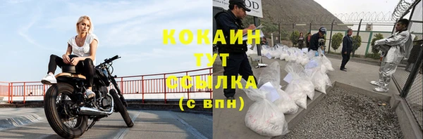 шишки Киреевск