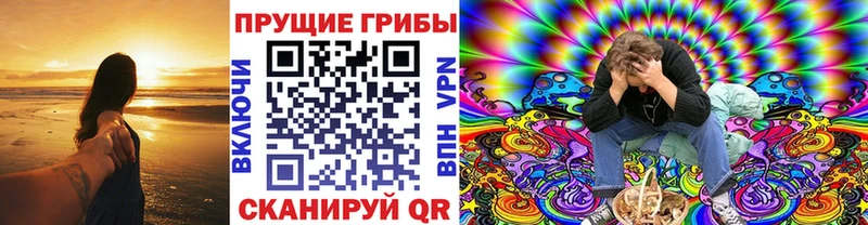 Купить где  Октябрьский  Галлюциногенные грибы мицелий 
